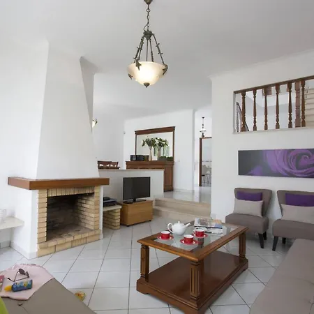 Gale Palm By 알부페이라