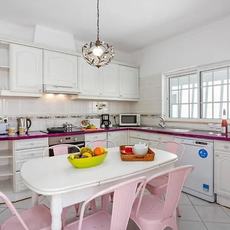 Gale Palm By فيلة البوفيرا